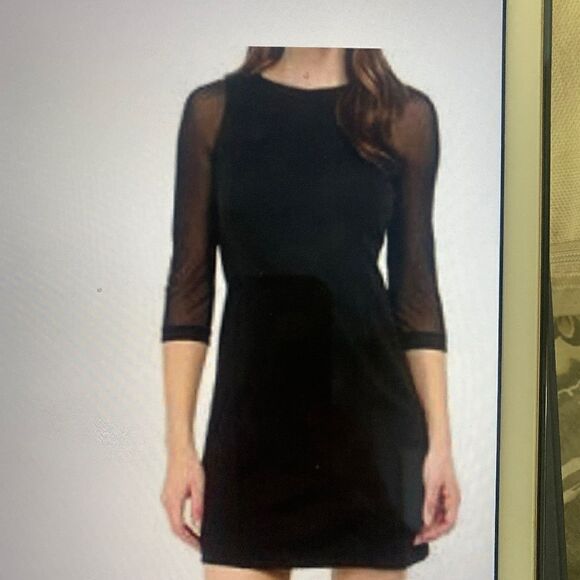 Jack Mini Dress with Mesh Sleeves - Picture 1 of 4